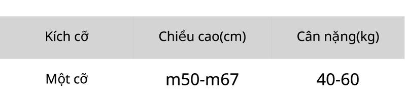 Product Introduction of Set bộ 2 món: áo thun gân trắng đính hoa và chân váy midi kẻ sọc 0
