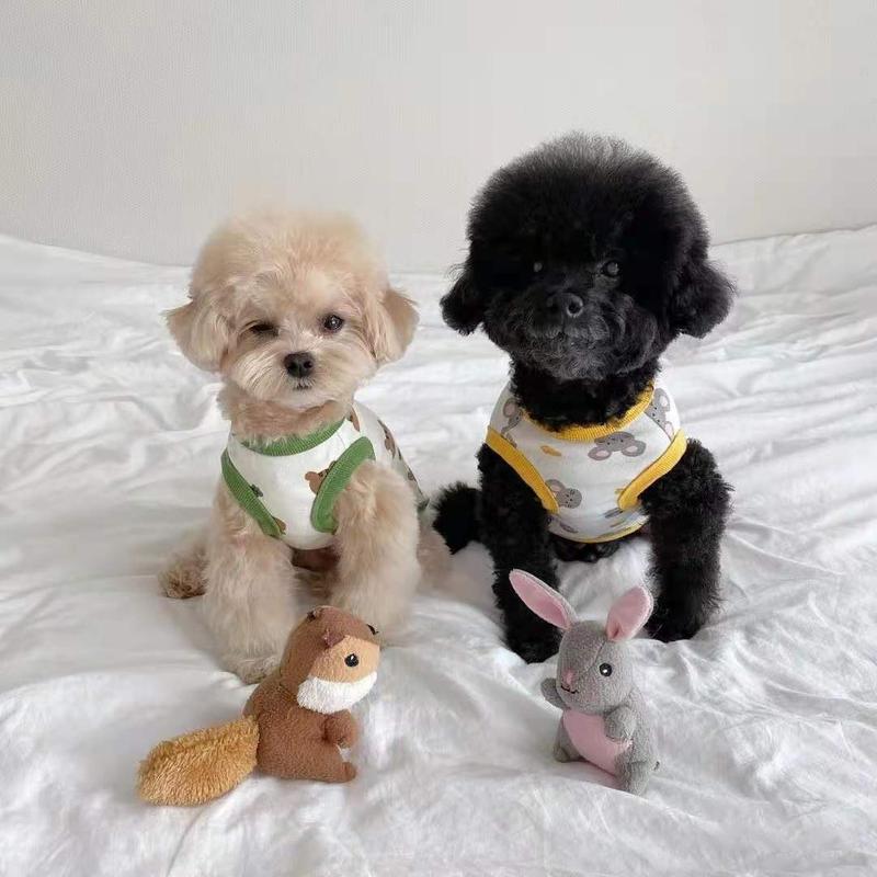 Product Introduction of Áo Vest Cho Chó, Thiết Kế Gấu Bông Teddy, Mèo, Pomeranian, Schnauzer, Chó Nhỏ, Quần Áo Thú Cưng, Thích Hợp Cho Mùa Hè, Hàng Mỏng 10