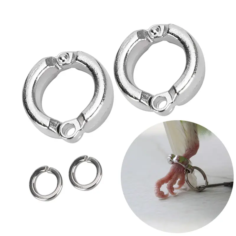 1 pcs Anti Escape Training Activity for Pigeon Anti-Lost Parrot Foot Rings Bird Leg Rings Bird Leash Accessories Bird Supplies