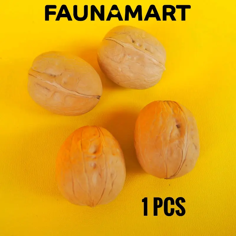 Raw Walnut 1 pcs / Makanan Gigitan Hamster 0