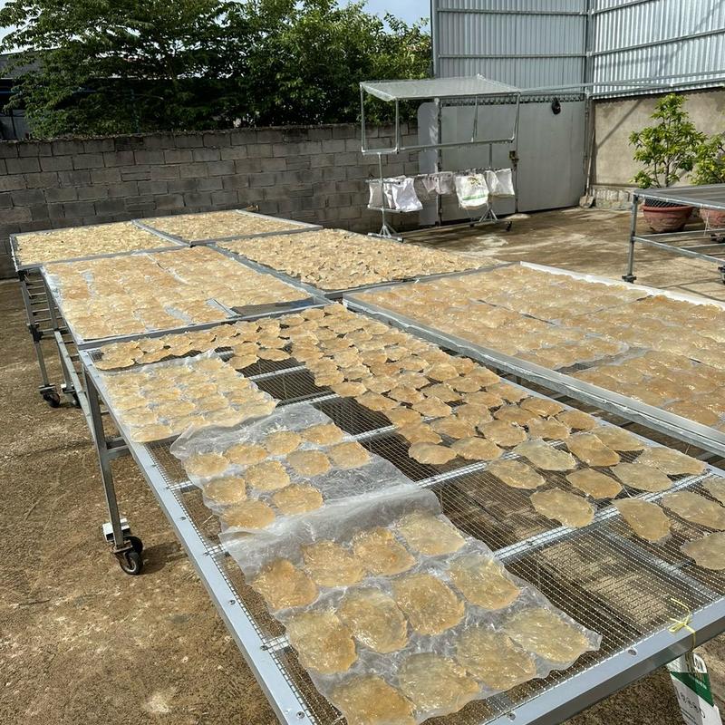 500gr Mủ Trôm Xay Nhuyễn Không Đường (SEO) 3