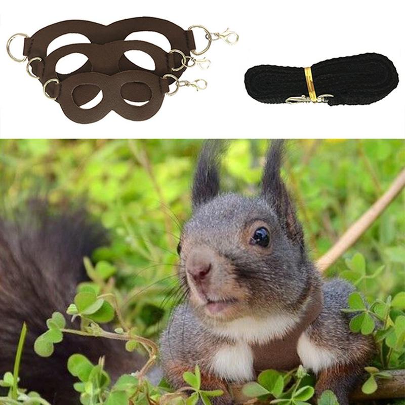 Product Introduction of Hamster Chinchilla Mouse Rat Squirrel Harness Anti-knot Anti-biting Strap Split Traction Rope Small Pet Training Leash 15
