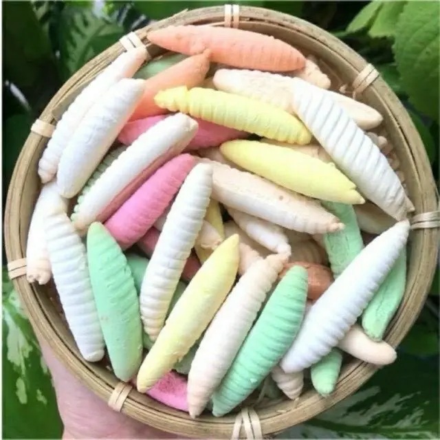 BÁNH MEN ĐUÔNG - BÁNH MEN SÂU Cake Cake 0