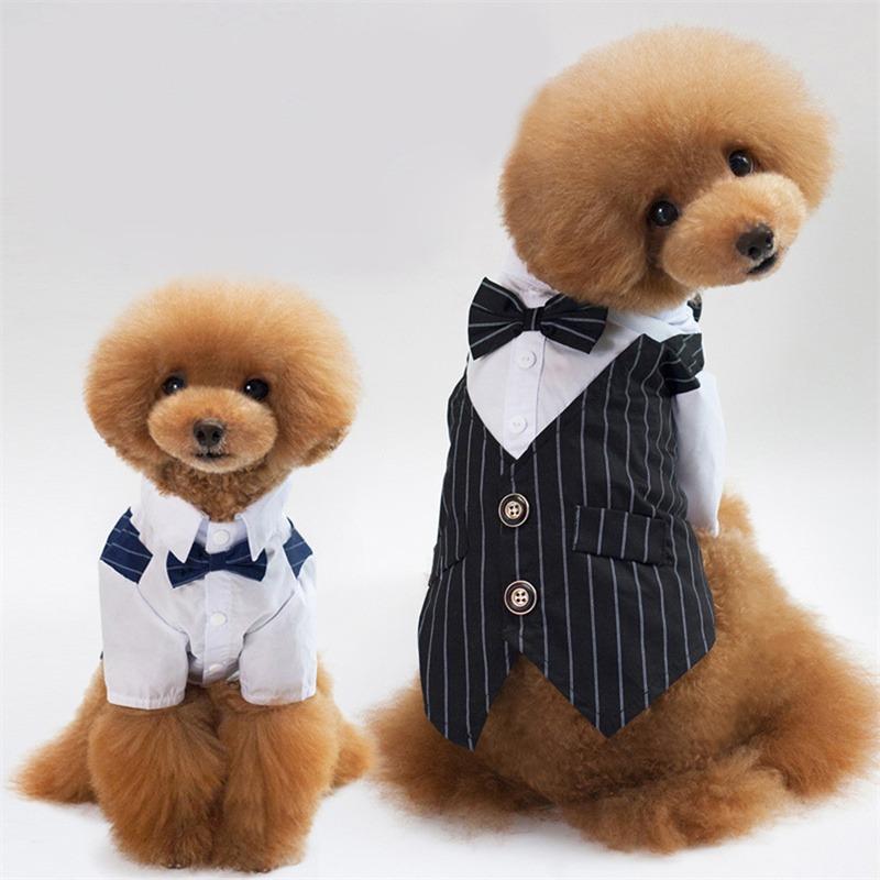 Quần áo cho thú cưng Bộ đồ Tuxedo Hoàng Tử cho chó và mèo với Nơ và Áo khoác Thích hợp cho Chihuahua Đẹp trai và phù hợp với thú cưng Áo khoác Jumpsuit quần váy cưới