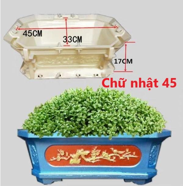 Khuôn đúc chậu cảnh chữ nhật 45 - chậu Bonsai mini