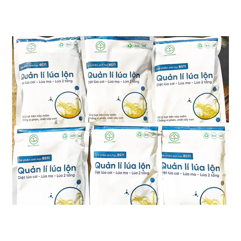 Chế phẩm sinh học Quản lý lúa lộn BS11 500gr 2