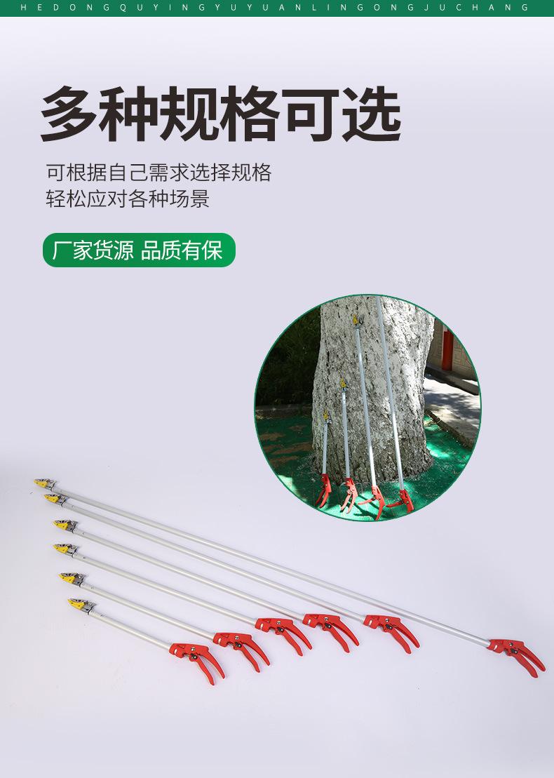 Product Introduction of Winda High Branch Fruit Picking Scissors Telescopic Fruit-Picking Device Gardening Scissor Litchi Longans Pomegranate Persimmon Picking Scissors Garden Tools 9
