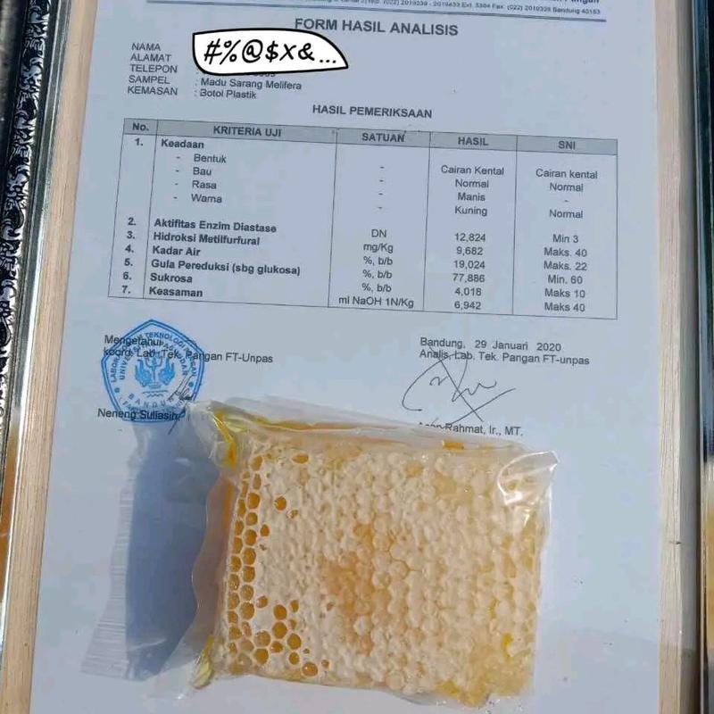 madu sarang asli lebah honeycomb 3