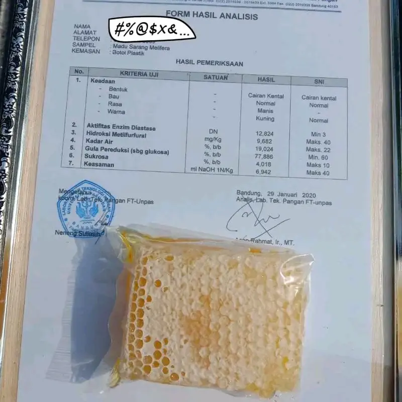 madu sarang asli lebah honeycomb 3
