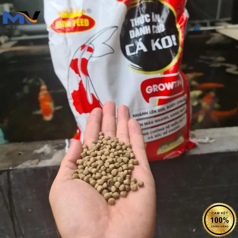 Cám Cá Koi King Feed độ đạm 42%, Túi 1 kg, Body chuẩn, lên mầu đẹp, tăng size nhanh 3
