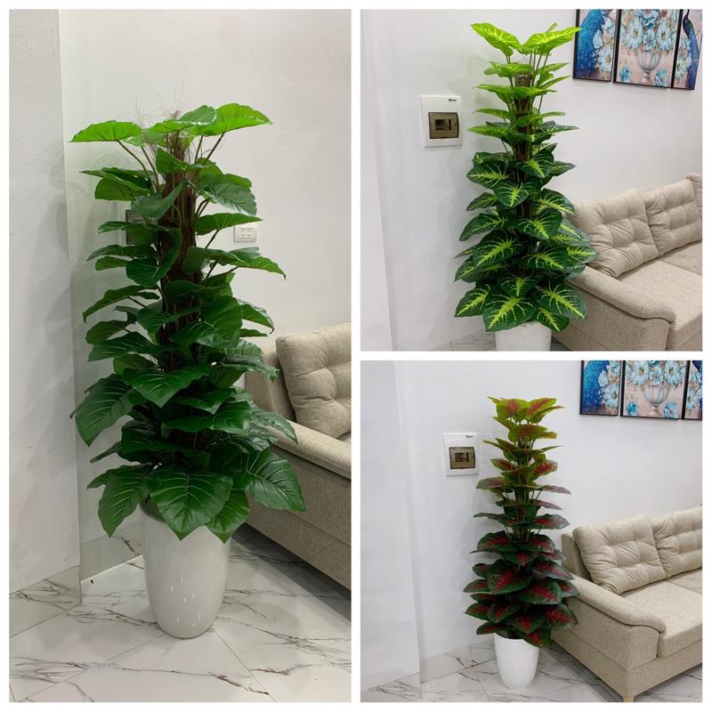 Cây trầu bà leo cột giả, cây giả trang trí đẹp