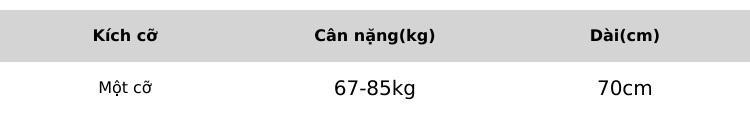 Product Introduction of Áo thun nữ trung niên đính đá 60-90kg 0