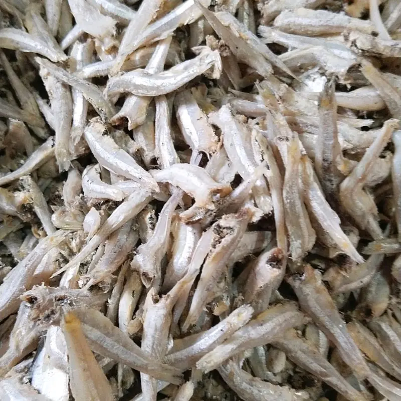 Teri jengki kering  jengki kering 0