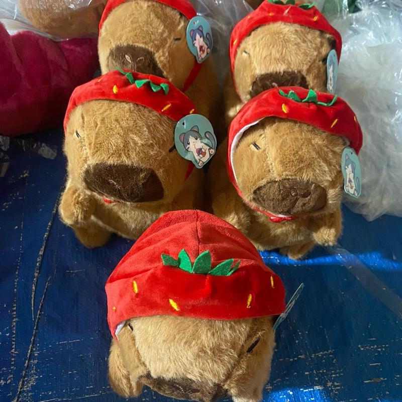 Gấu bông Capybara đội mũ dâu 25cm tháo được mũ