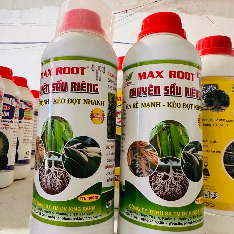 Chuyên cho cây sầu riêng ra rễ nhanh - kéo đọt nhanh 0