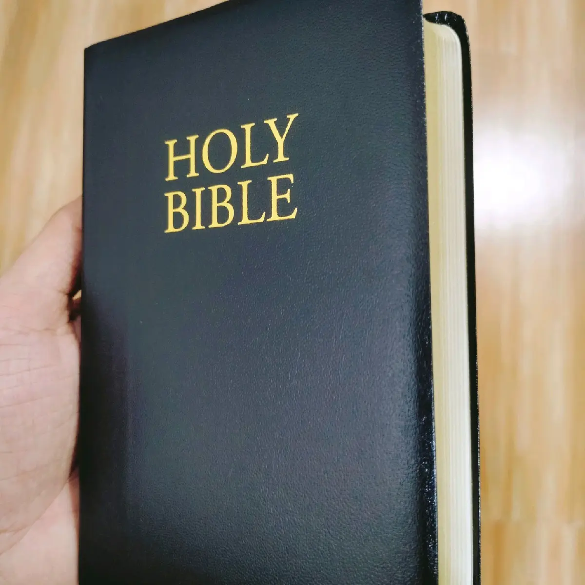 SOFT LEATHERETTE COVER COMPACT KJV HOLY BIBLE LARGE PRINT / GOLD EDGE / RED LETTER / OLD & NEW TESTAMENT / HANDY SIZE / GIVEAWAYS / 1611