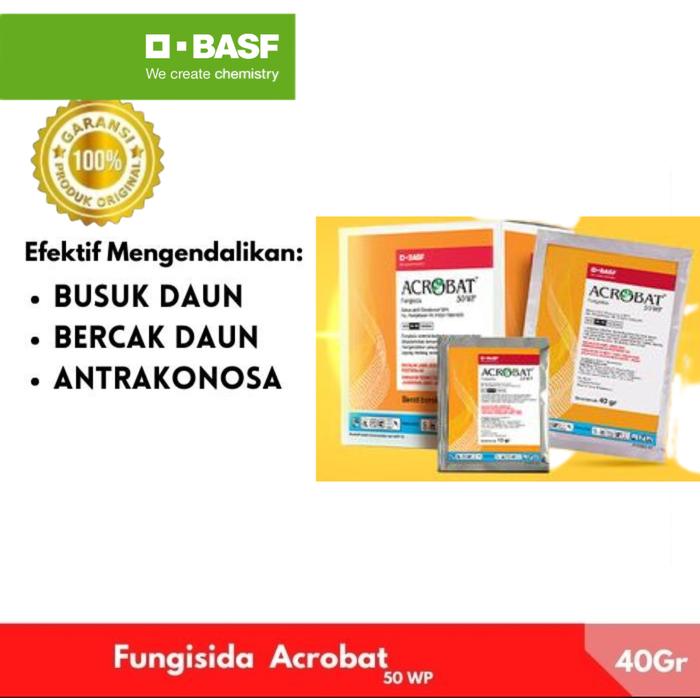 Gambar Acrobat 50 WP (40gr) - Fungisida Sistemik Untuk Layu Fusarium Jamur dari BASF Petani Sejahtera Kota Tangerang Tokopedia