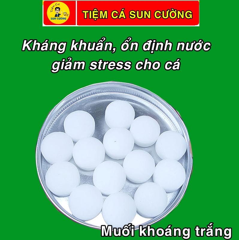 Viên muối khoáng viên thực phẩm bổ trợ cho cá cảnh