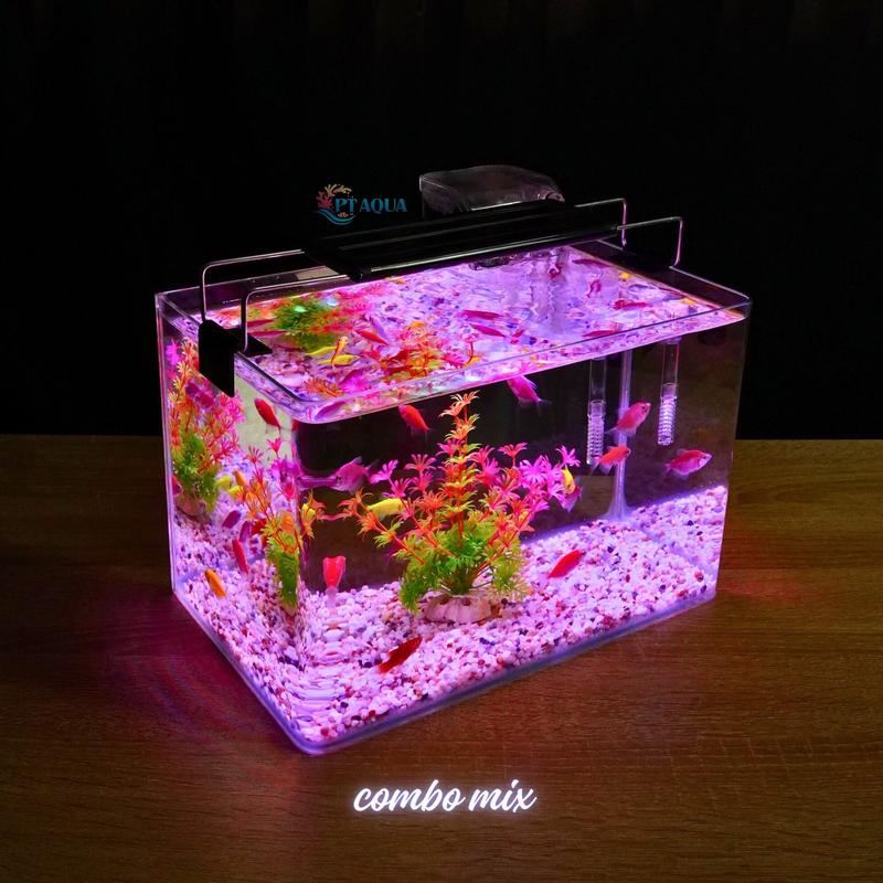 Bể Cá Mini Đúc Uốn Cong 30x18x20cm Để Bàn Với Nhiều Mẫu Lựa Chọn Có Kèm Phụ Kiện Sỏi Nền Và Cây Nhựa