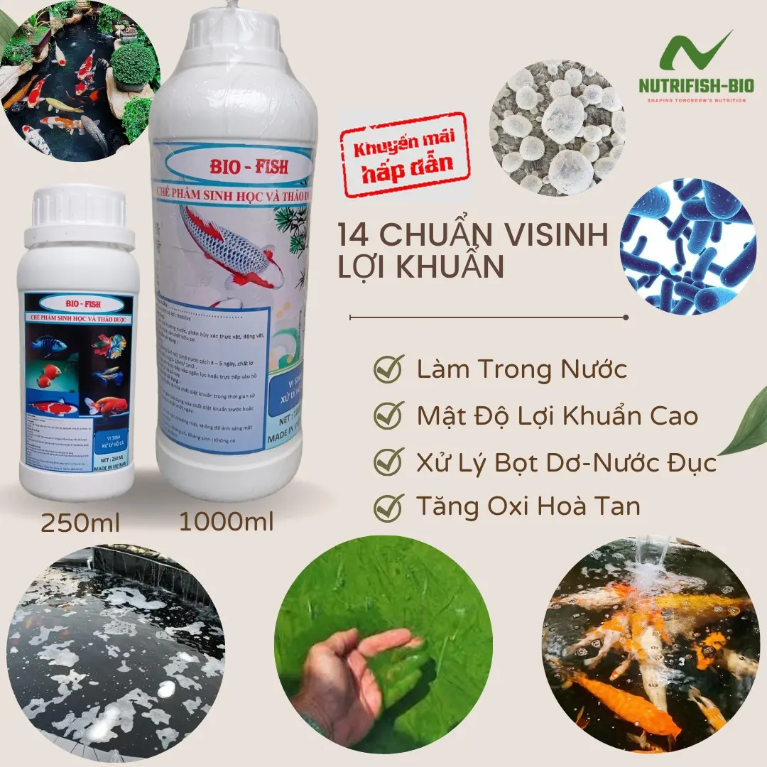 Mua Vi Sinh 250ml -1000ml