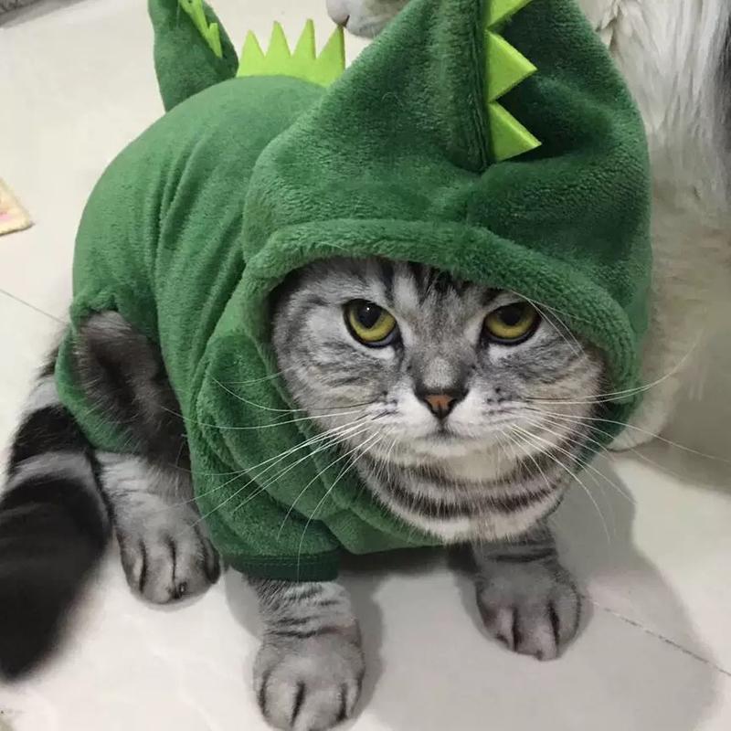 Product Introduction of Pet Dog Clothes Small and Medium-Sized Dogs with Velvet Dinosaur Pet Cat Clothes 21