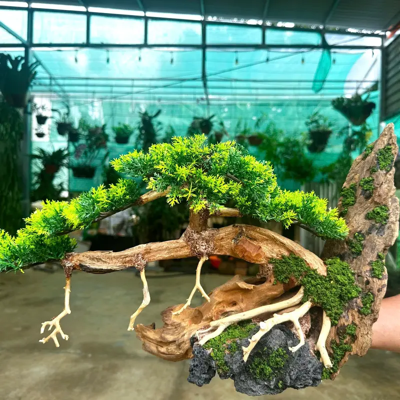 Lũa Bonsai ôm núi cho bể cá cảnh/ Decor trang trí 2