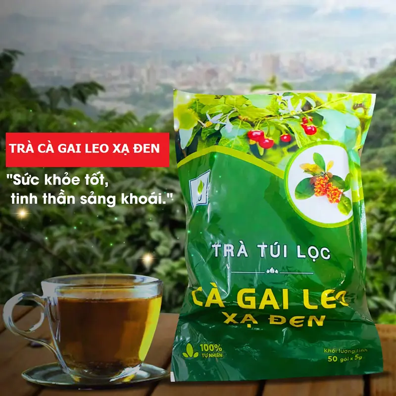 Trà Cà Gai Leo Xạ Đen Túi Lọc Tiện Dụng 250Gram, Mua 2 Túi Tặng 5 Gói Trà Dưỡng Nhan Ngũ Vị - Tea Nước Trà Chè 2