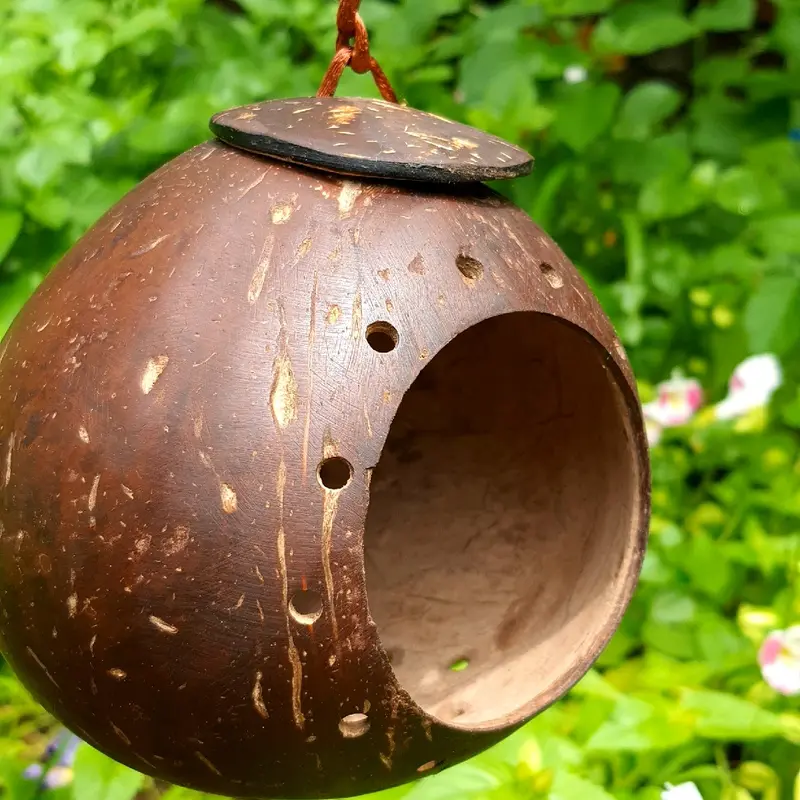 Tổ chuột Hasmter gáo dừa mài bóng/ Ổ chuột /Tổ ngủ gáo dừa 1