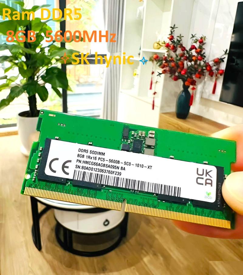 Product Introduction of Ram Laptop DDR5 8GB 5600MHz SK Hynic  - Bảo hành 36 tháng 1 đổi 1 17