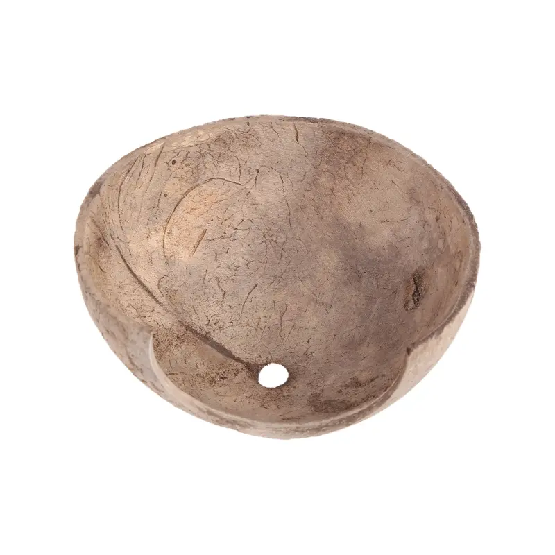 Insects Hiding Cave Reptiles Habitat Aquarium Decorations Natural Coconut for Sh