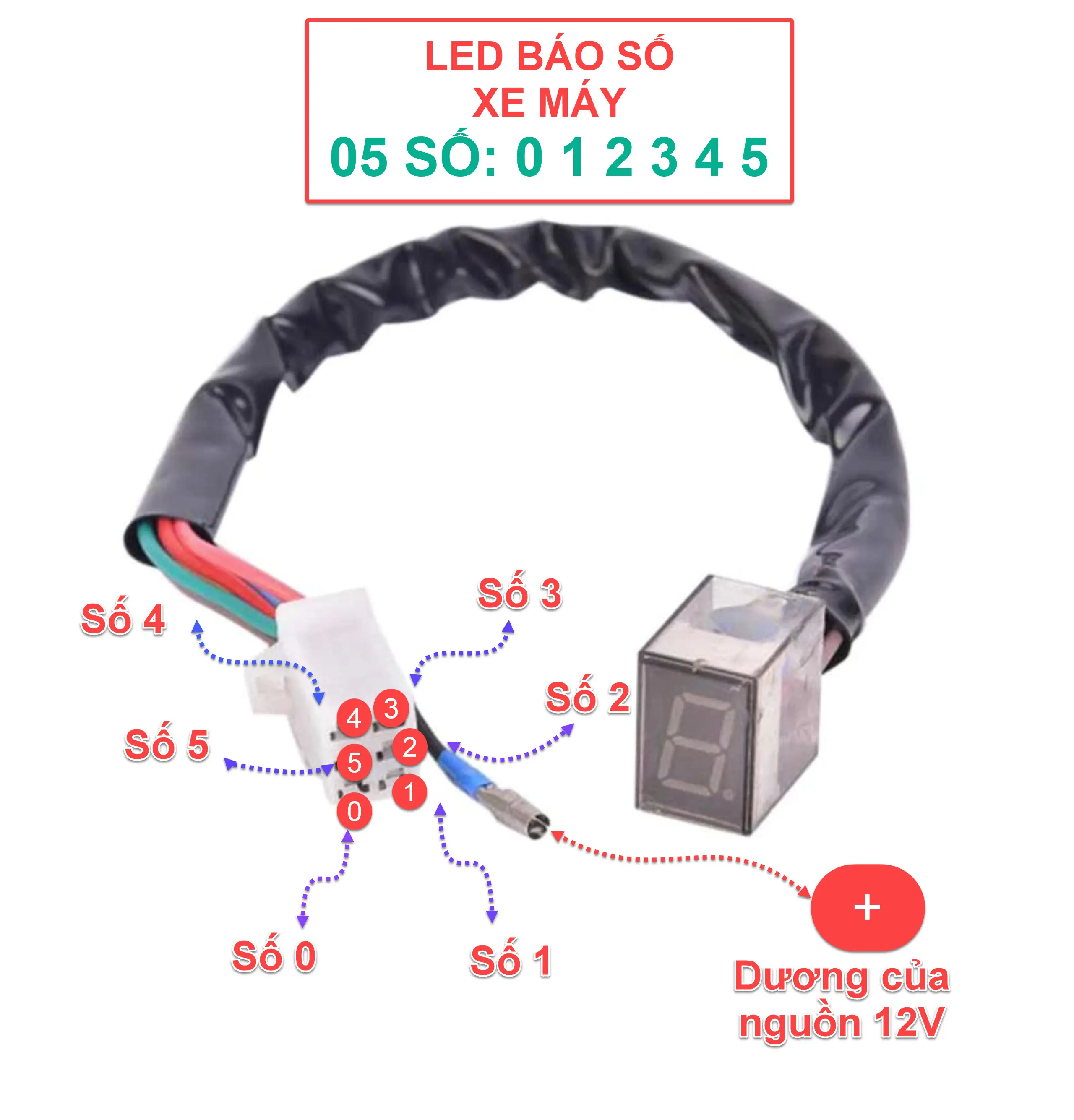 LED báo số xe máy 05 số 0 1 2 3 4 5