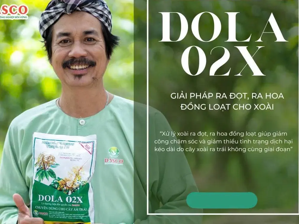 Phân bón Dasco Dola 02X (gói 1kg) - Chuyên xử lý ra hoa nghjch vụ theo ý muốn