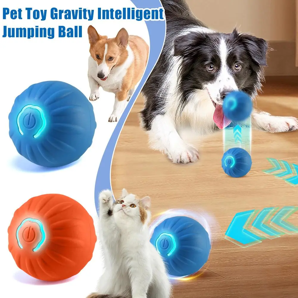 Gravity Bouncing Ball Automatic Dog Walking Ball Grinding Teeth For Fun And Relaxation Pet Toy
