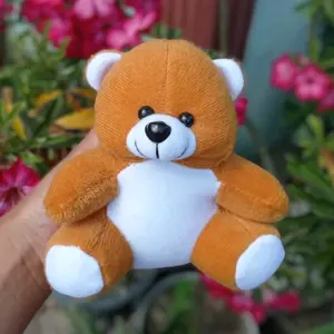 5pcs Boneka Bear Mini Wisuda 15cm Boneka Buket Gemoy