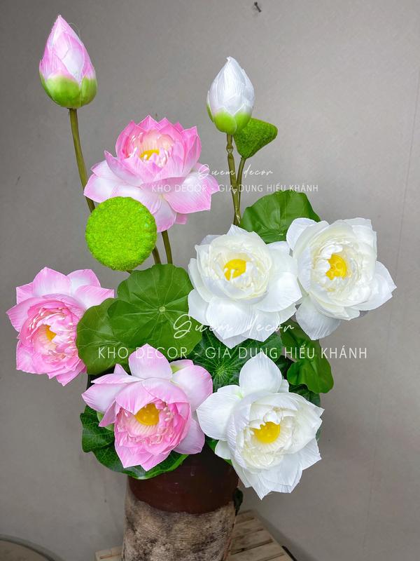 Cành Hoa Sen Quan Âm Lụa 10 chi tiết 3 bông 1 nụ 1 đài 3 lá già 2 lá non dài 75cm size bông to đẹp Decor lựu giả mini
