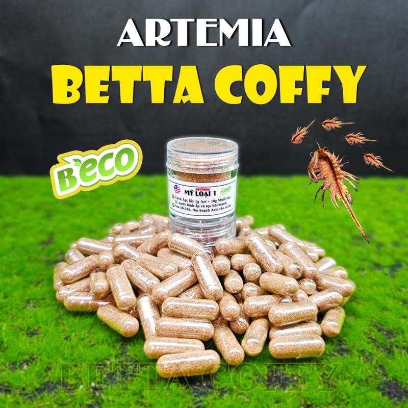 Thức ăn Sấy Khô Artemia Nước Mặn BECO Mỹ loại 1 cho cá betta guppy con mới đẻ