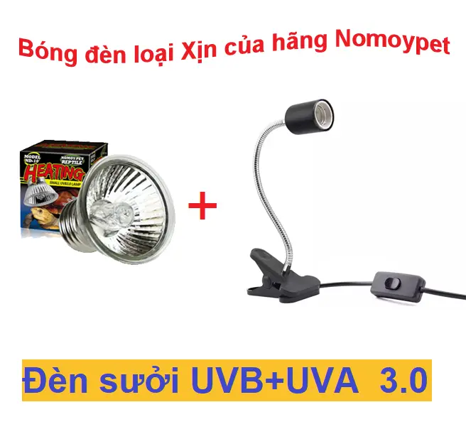 [ Combo ] Kẹp đèn DÀI + bóng đèn UVB-UVA 3.0 cho Rùa, Baba và Bò sát
