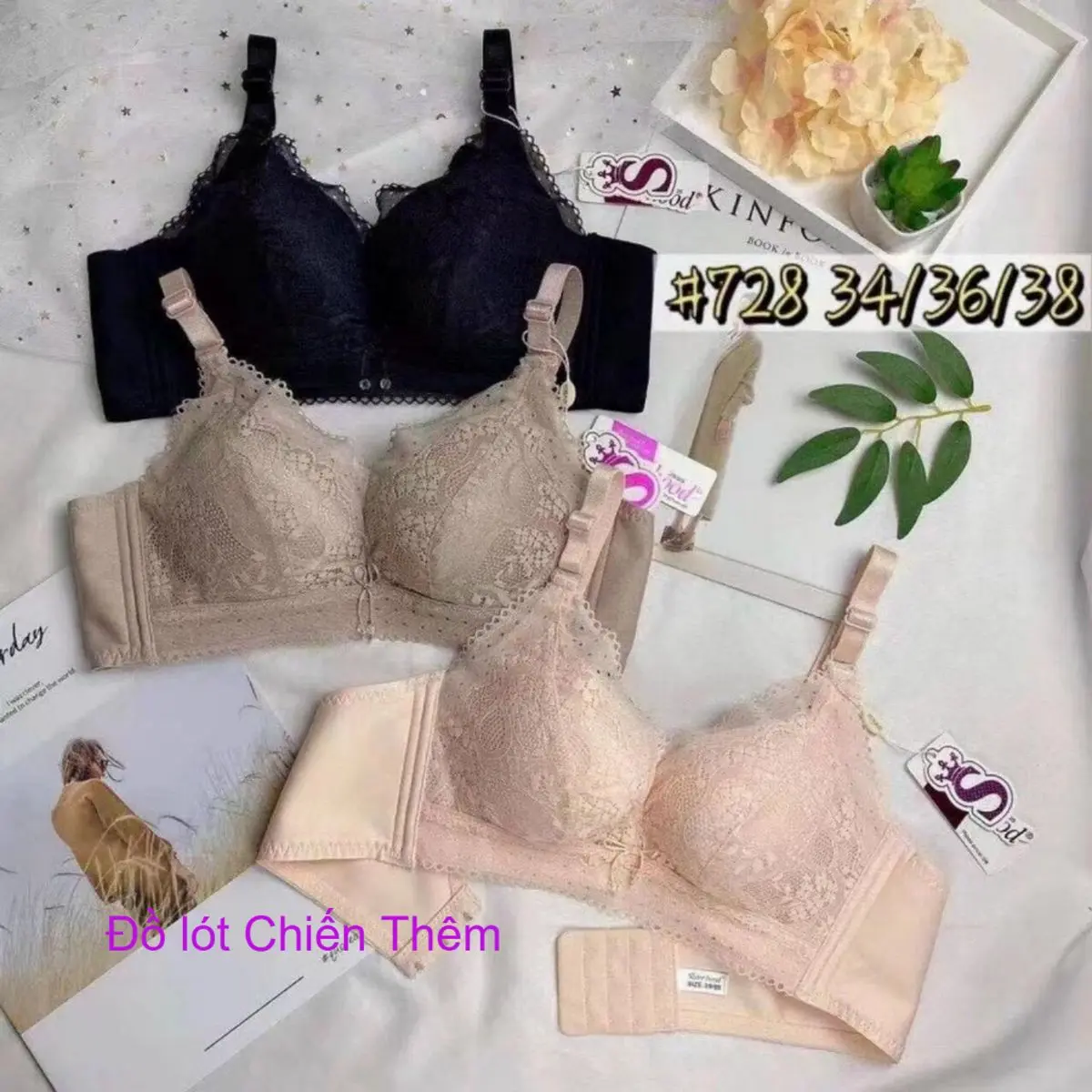 Áo Lót Thái Lan Dành Cho Chị Em Cỡ Cam, Không Gọng Đệm Vừa 2cm Quả Vát Ôm ᵰgực 728 (vk ck Chiến Thêm bán)