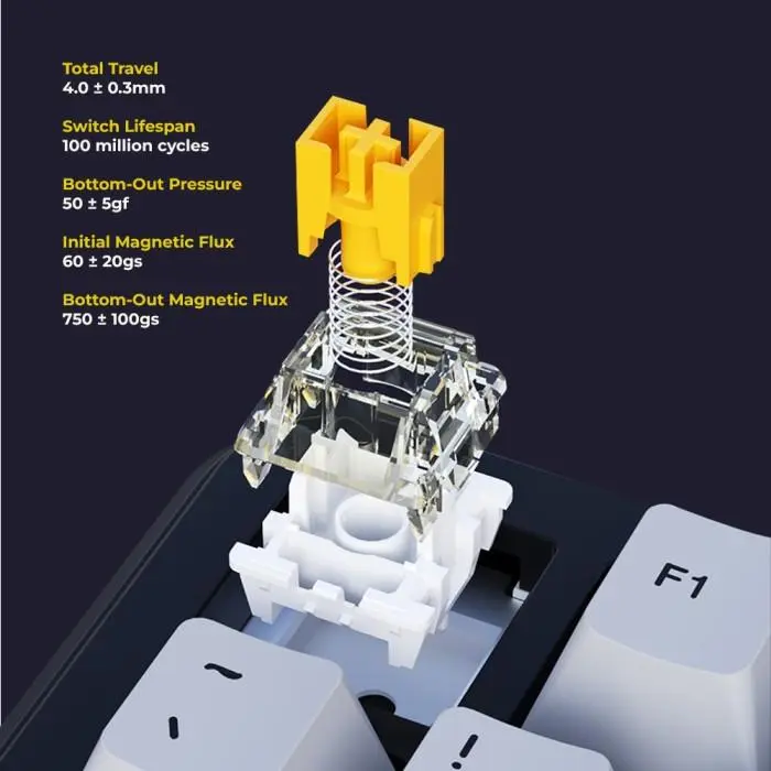 Ajazz AK820 MAX HE Magnetic Switch Rapid Trigger  Tap SOCD 75% Mechanical Keyboard Wired RGB 4