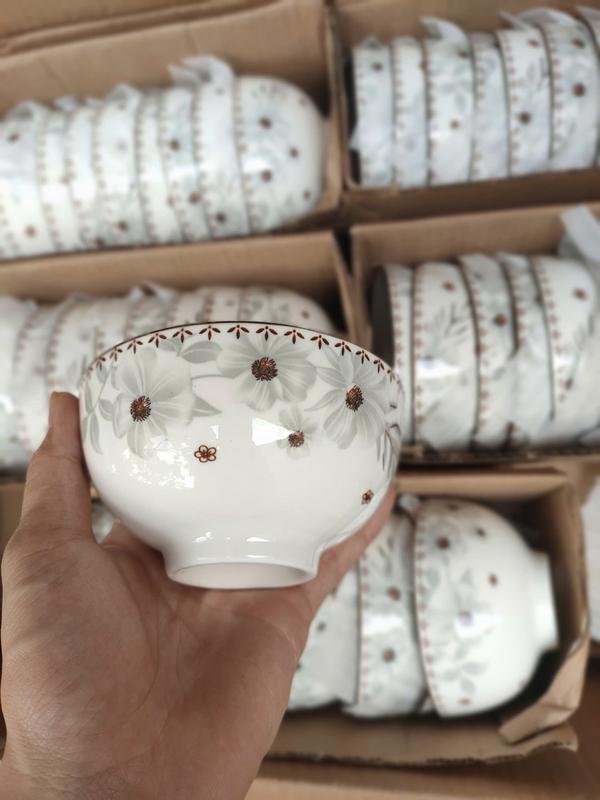   Nhiều Mẫu  ComBo 10 Bát  Chén  Ăn Cơm Họa Tiết In 3D Cao Cấp Và Sang Trọng Mẫu Đa Dạng. 