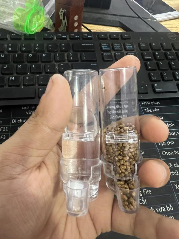 Cóng tự động cho chim hút mật combo 10 chiếc cóng đựng nước cho chim khuyên,hút mật chất liệu nhựa mica trong suốt