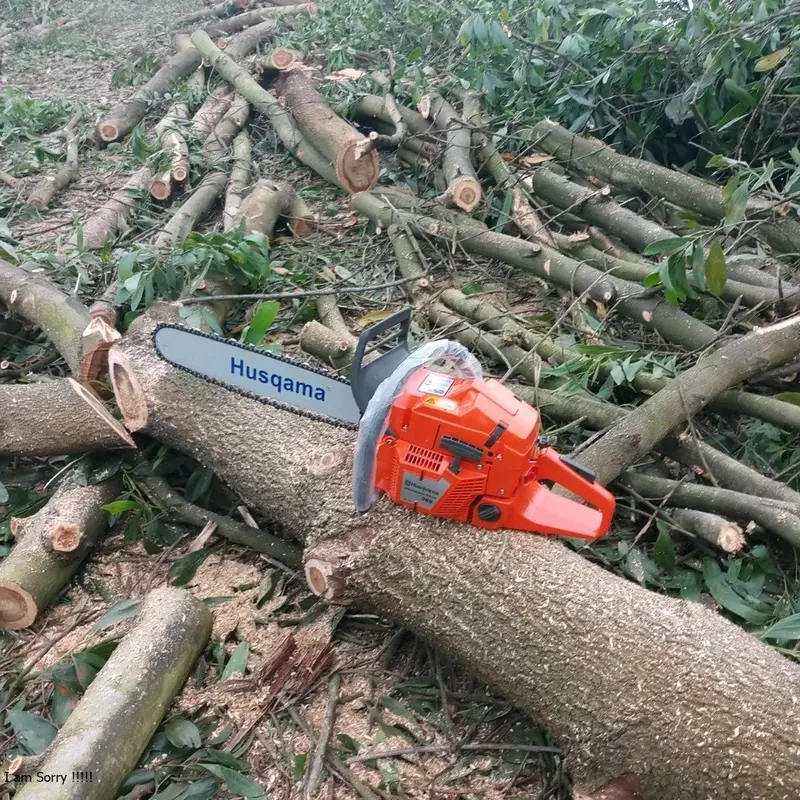 MÁY CƯA XÍCH HUSQARVNA 365 ĐỦ BỘ LAM XÍCH 50 CÔNG SUẤT LỚN 3