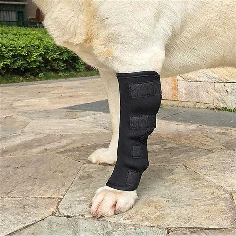 Product Introduction of 1Pair Pet Knee Pads Support Brace for Leg Hock Joint Wrap Injury Recover Legs Dog Protector Protects Bandage 13