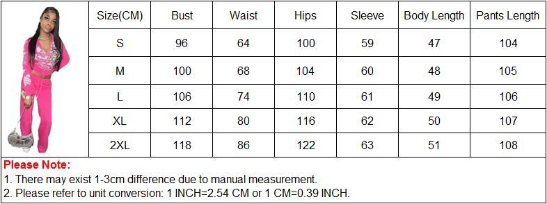 2 Piece Sets Womens Clothing Letter Print Sweatsuit Hoodie Zipper ...