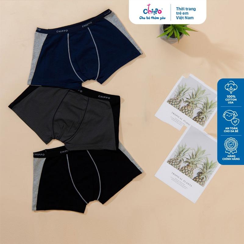 Product Introduction of Combo 3 chiếc Quần boxer bé trai Chippo quần lót bé trai 5 đến 16 Tuổi từ 30 đến 60 Kg 36