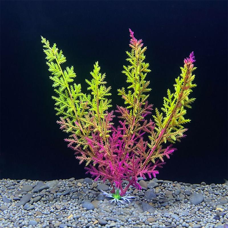 Product Introduction of Aquarium Ornament 18cm Simulation Water Grass Decorative Plastic Artificial Underwater Plants Lifelike Seaweed Ornaments Aquatic Water Grass Landscaping Decoration 11
