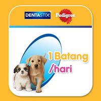Gambar Pedigree Dentastix Snack Anak Anjing 56 gr - Isi 2 dari Whiskas Indonesia Kota Tangerang 3 Tokopedia
