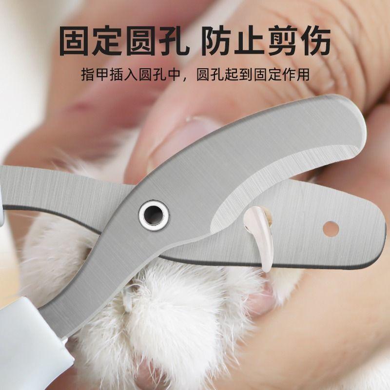 Dụng Cụ Bấm Móng Cho Mèo, Dành Cho Người Mới Bắt Đầu, Cắt Móng Cho Chó Mèo Và Thỏ Nhỏ Dụng Cụ Cắt Móng Tay, Dụng Cụ Cắt Móng Tay Cho Thú Cưng, Dụng Cụ Cắt Chân Mèo, Được Đánh Giá Tích Cực 22k, Năm 2025 8