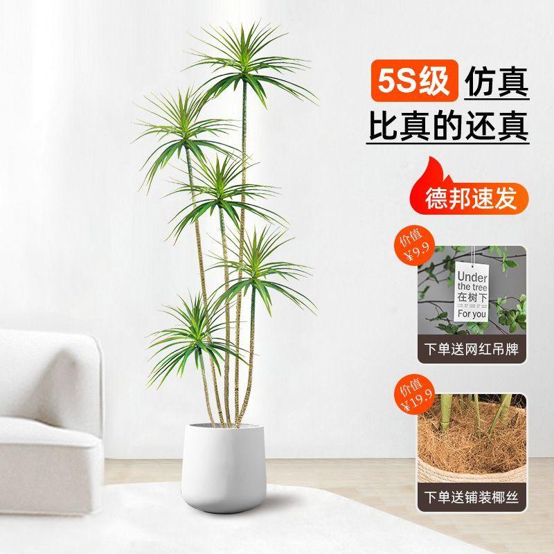 Product Introduction of Minimalist Home Decor Artificial Green Plants Indoor Potted Large Bionic Plant Landscaping Tree Fake Flower Arrangement Living Room Floor Ornament Dragon Blood Tree 3