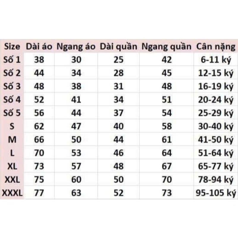 Product Introduction of Quần Đi Biển Bigsize, Quần Đi Biển Nữ, Quần đùi Nam, Quần Đi Biển Gia Đình, Quần Short Đi Biển 19